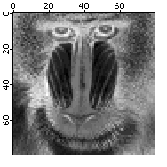 Image Processing | Igor Pro