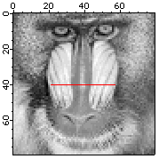 Image Processing | Igor Pro