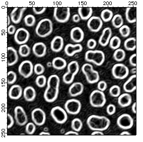 Image Processing | Igor Pro